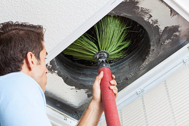 Best HVAC System Cleaning  in Hill N Dale, FL